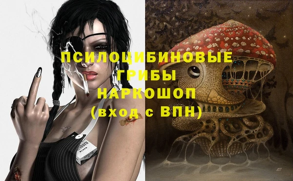дживик Зерноград