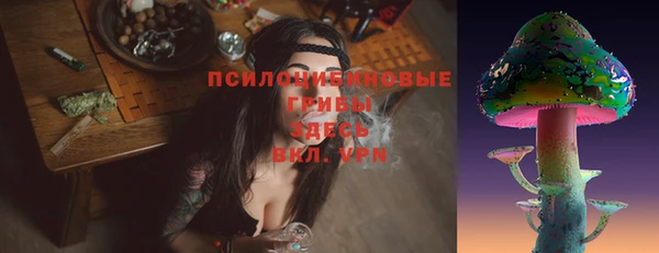 соль ск Зеленодольск