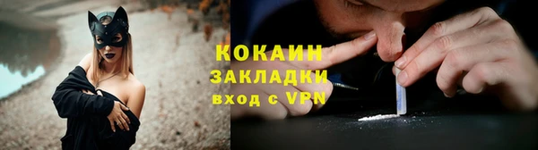 индика Зеленокумск