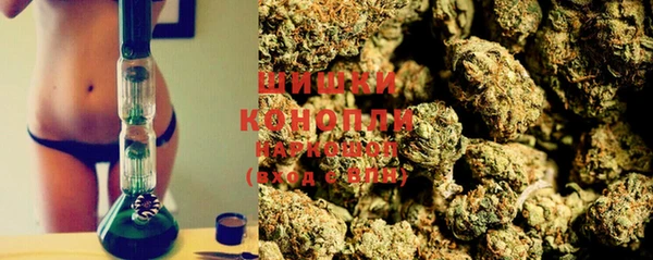 индика Зеленокумск
