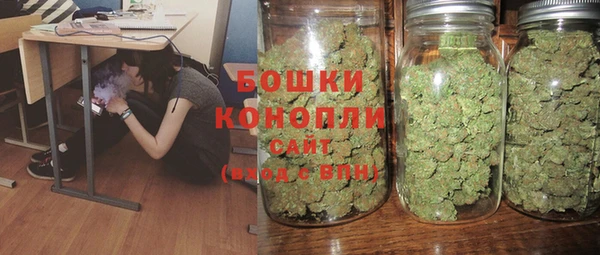индика Зеленокумск