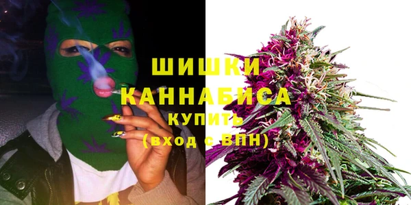 индика Зеленокумск