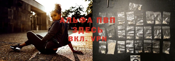 индика Зеленокумск