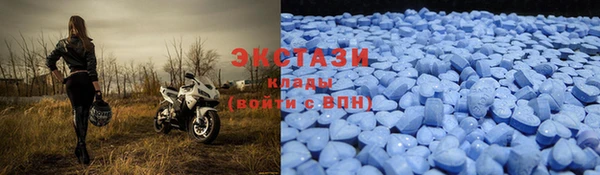 индика Зеленокумск