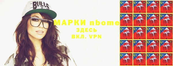 индика Зеленокумск