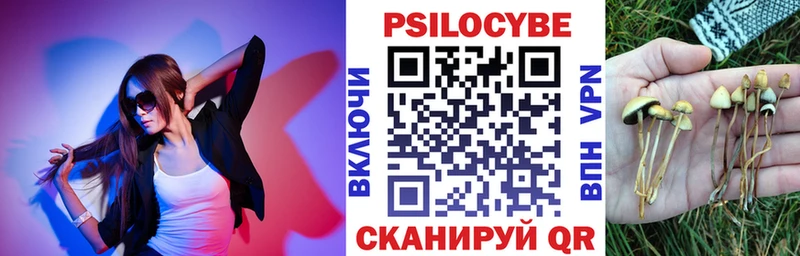 Купить закладки  Олёкминск  Галлюциногенные грибы Magic Shrooms 